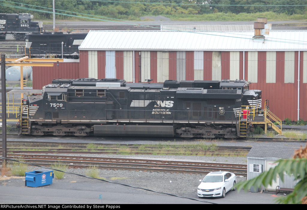 NS 7509